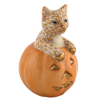 Jack O Lantern Kitty — Butterscotch
