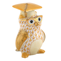 Graduation Owl — Butterscotch