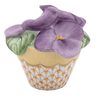 Pansies In Flowerpot — Butterscotch