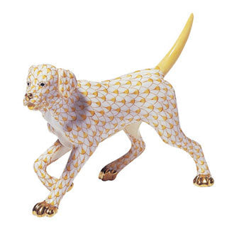 Labrador Walking — Butterscotch