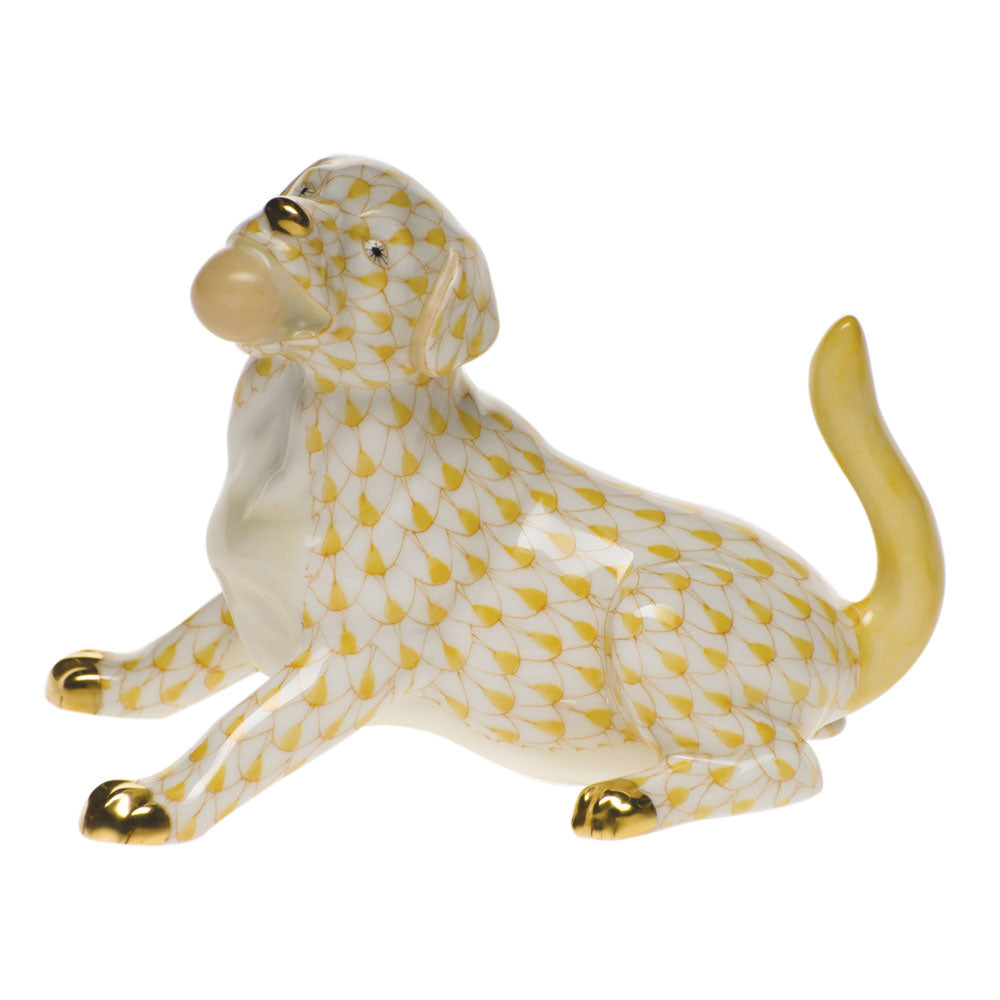 Labrador with Ball — Butterscotch