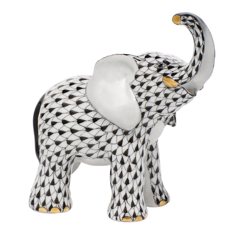 Young Elephant — Black
