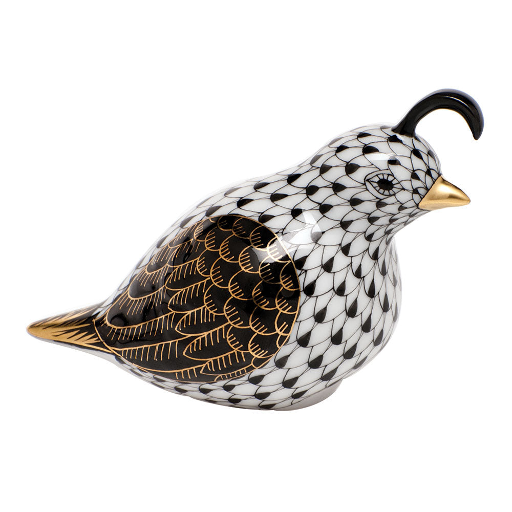 California Quail — Black