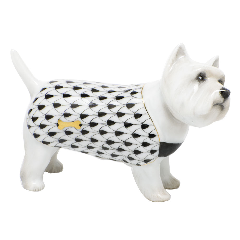 West Highland Terrier — Black