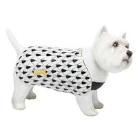 West Highland Terrier — Black