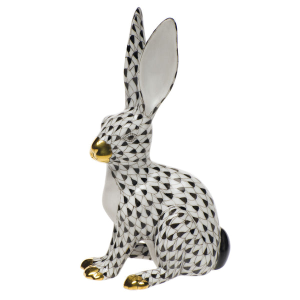 Jack Rabbit