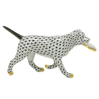 Frisbee Dog — Black