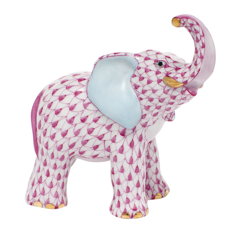 Young Elephant — Raspberry