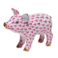 Little Pig Standing — Raspberry