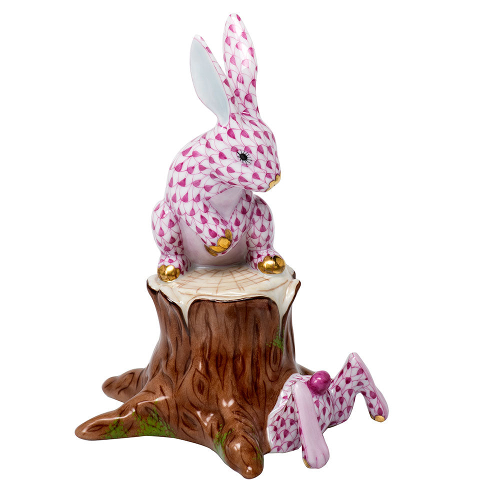 Down The Rabbit Hole — Raspberry