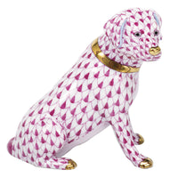 Labrador Retriever — Raspberry