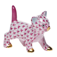 Strutting Kitty — Raspberry