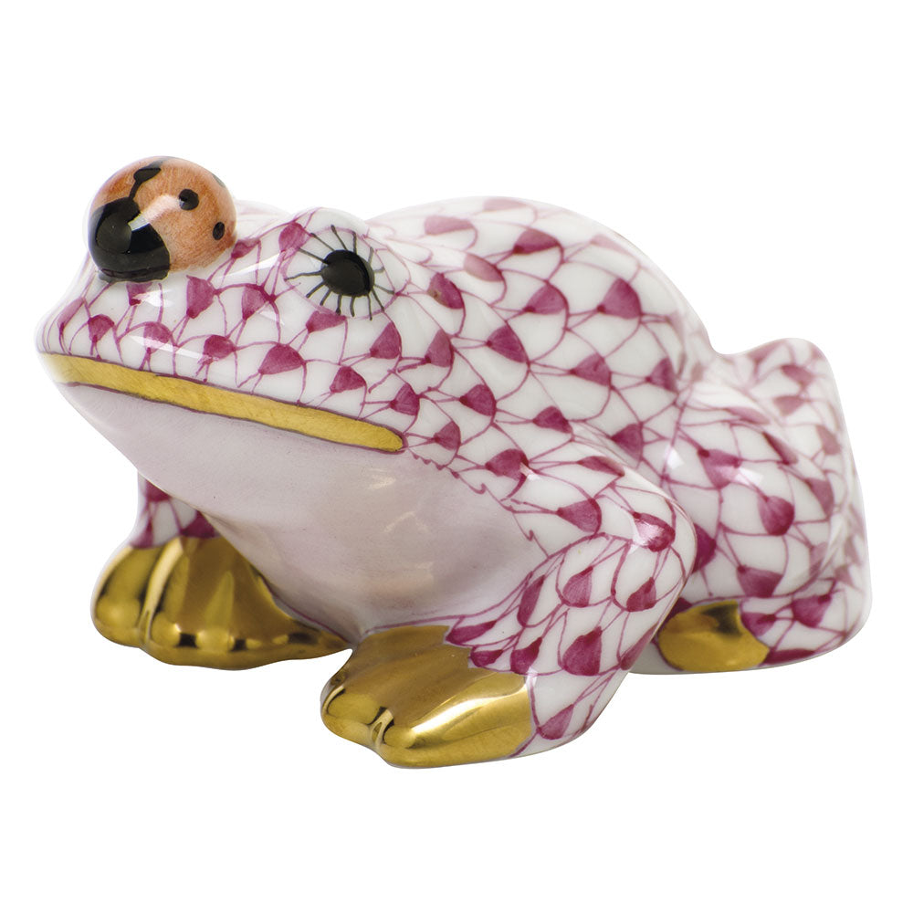 Frog with Ladybug — Raspberry