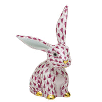 Funny Bunny — Raspberry