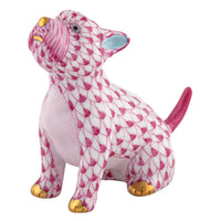 Singing Westie — Raspberry