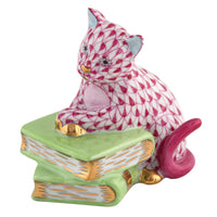 Cat On Books — Raspberry