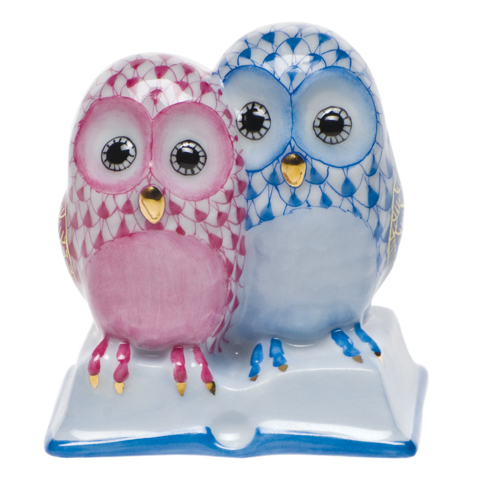 Pair of Owls On Book — Blue & Raspberry