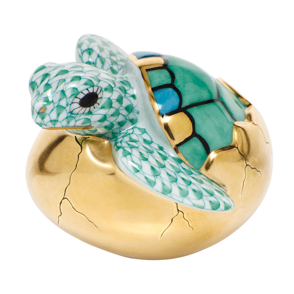 Hatching Sea Turtle — Green