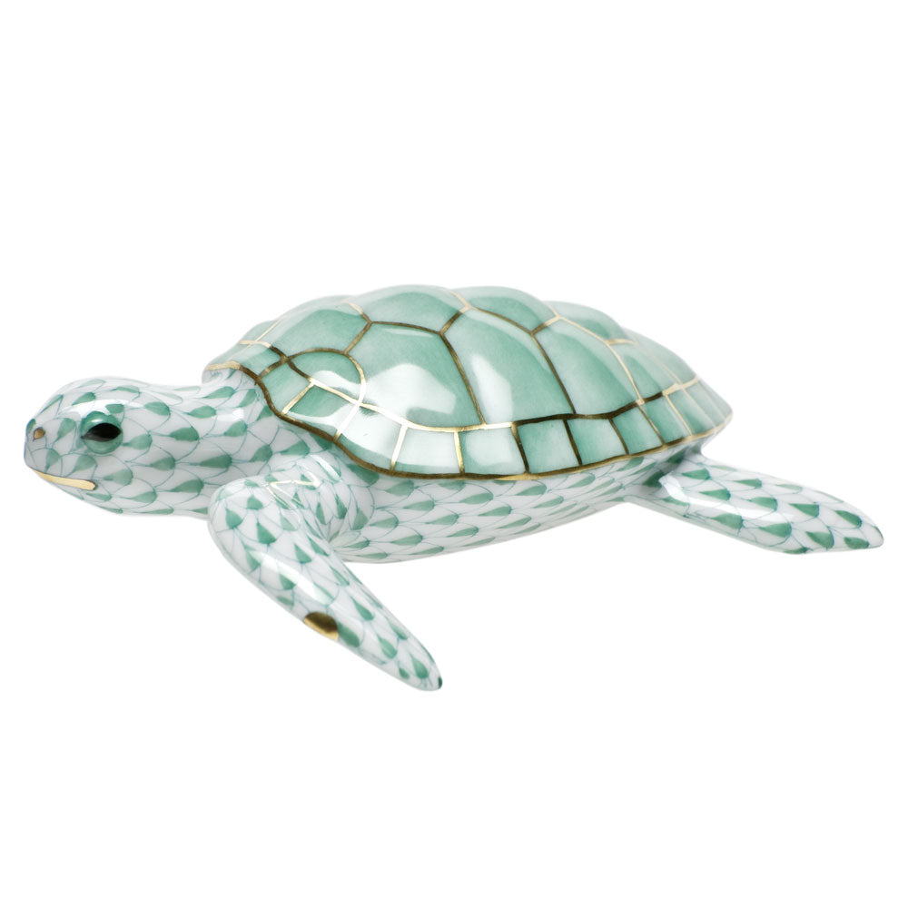 Loggerhead Turtle — Green