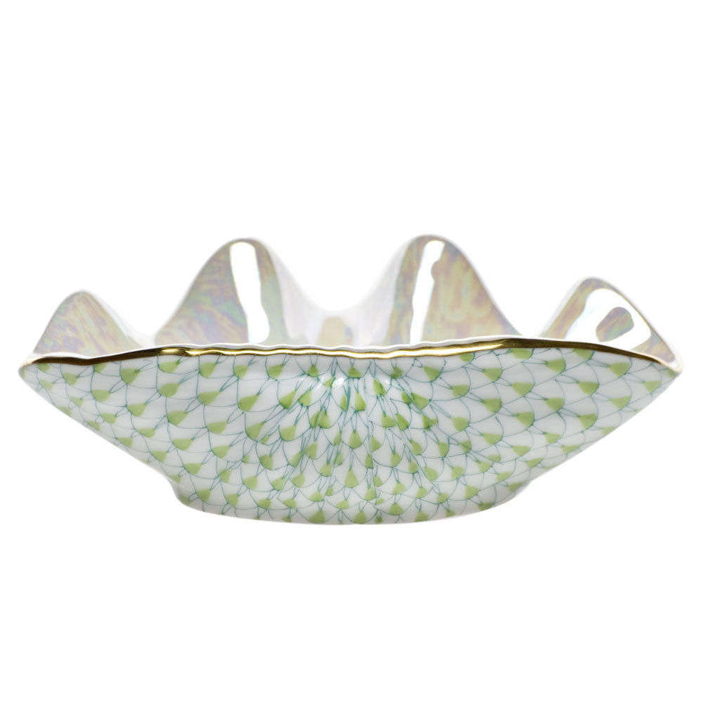 Clam Shell — Keylime