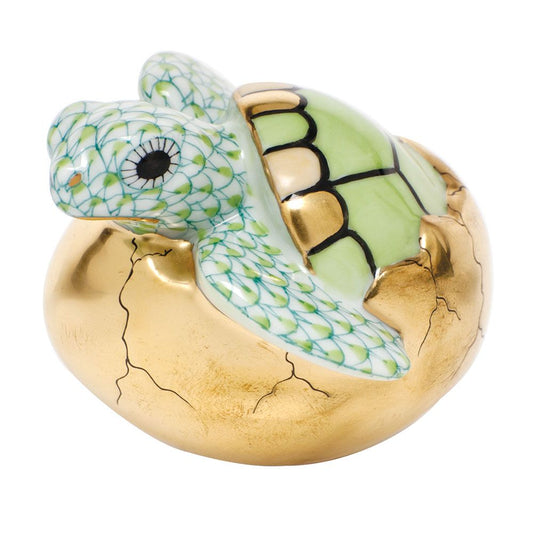 Hatching Sea Turtle in Keylime