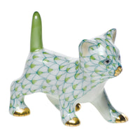 Strutting Kitty — Keylime