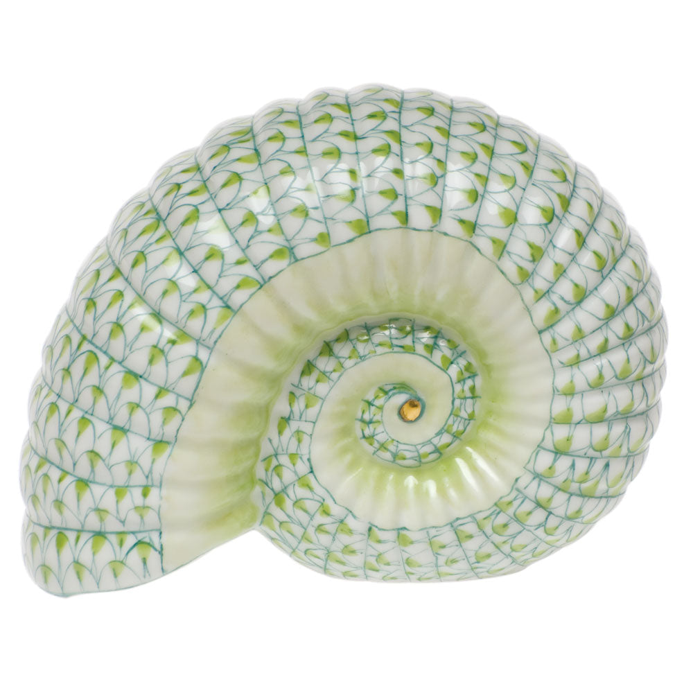 Ammonite — Keylime