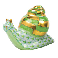 Baby Snail — Keylime