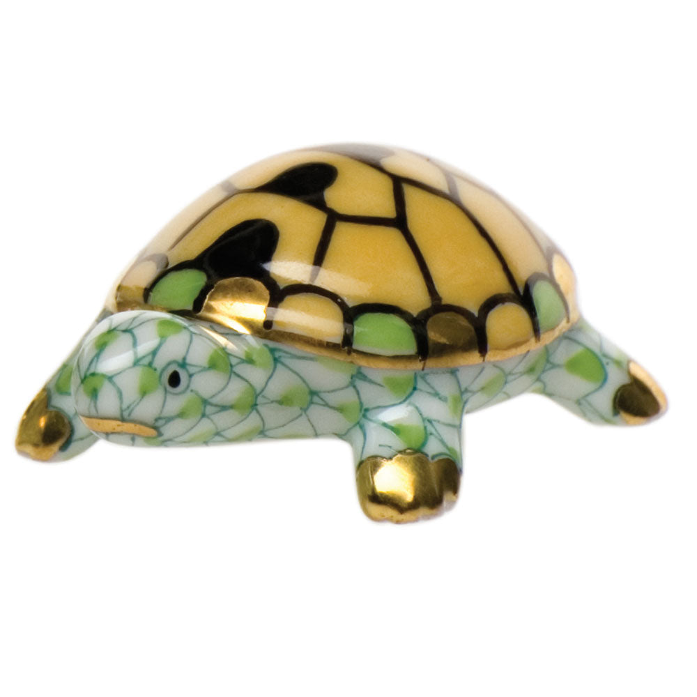 Tiny Turtle — Keylime