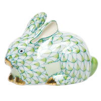 Miniature Lying Rabbit — Keylime