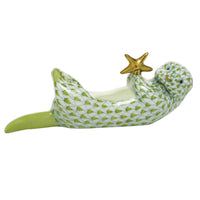 Sea Otter with Starfish — Keylime