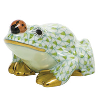 Frog with Ladybug — Keylime