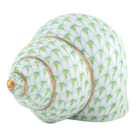 Periwinkle Shell — Keylime
