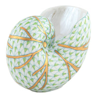 Small Nautilus — Keylime
