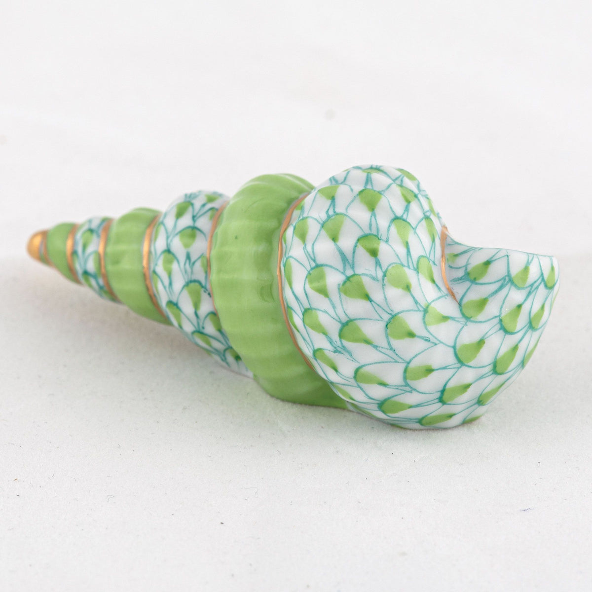 Staircase Shells Staircase Shell – Park Shores