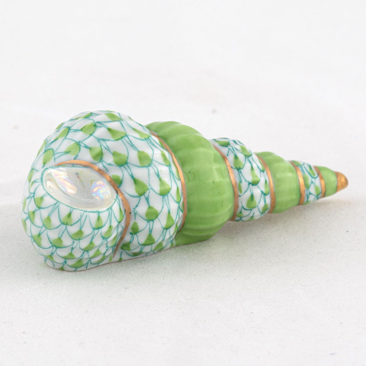 Staircase Shells Staircase Shell – Park Shores