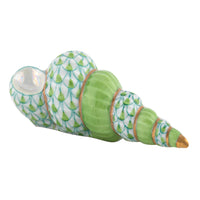 Staircase Shell — Keylime