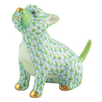 Singing Westie — Keylime