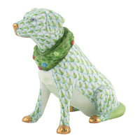 Holiday Dog — Keylime