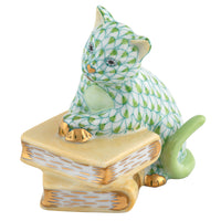 Cat On Books — Keylime