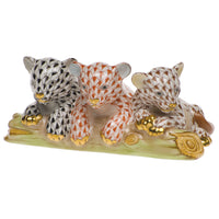 Tiger Cubs — Black & Rust & Chocolate