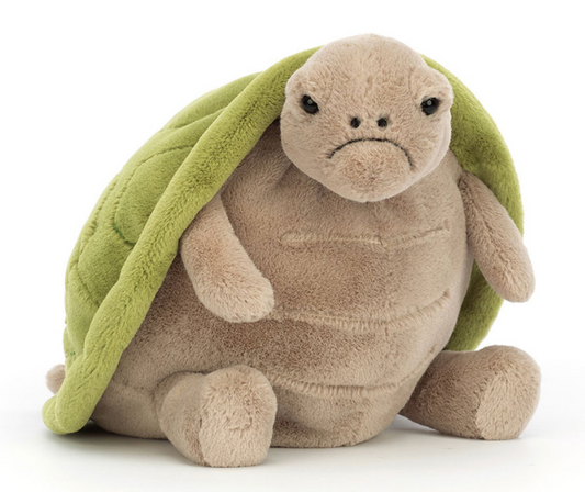 Timmy Turtle Medium