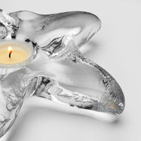Starfish Tealight in Gift Box