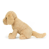 Tilly Golden Retriever — photo 2 of 3