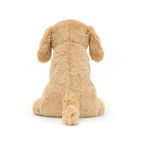 Tilly Golden Retriever — photo 3 of 3