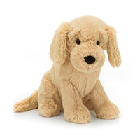Tilly Golden Retriever — photo 1 of 3