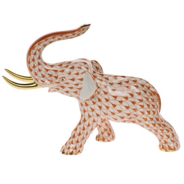 Elephant with Tusks