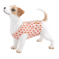 Jack Russell Terrier — Rust