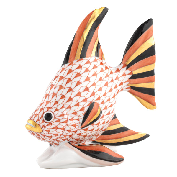 Angel Fish