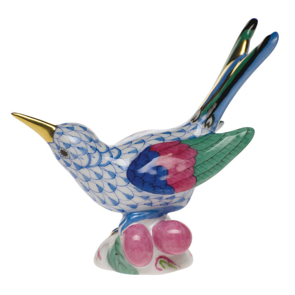 Colibri